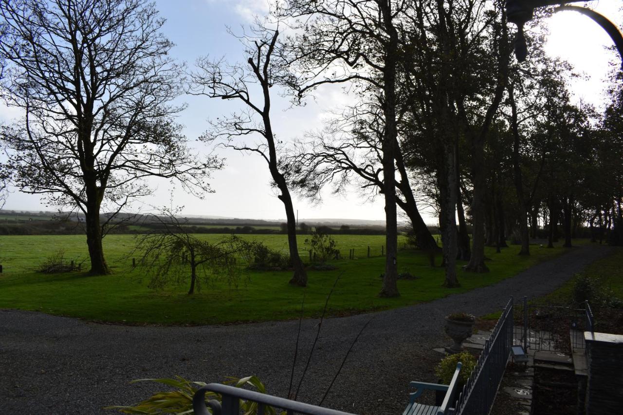 Crug Glas Country House St. Davids  Exterior foto