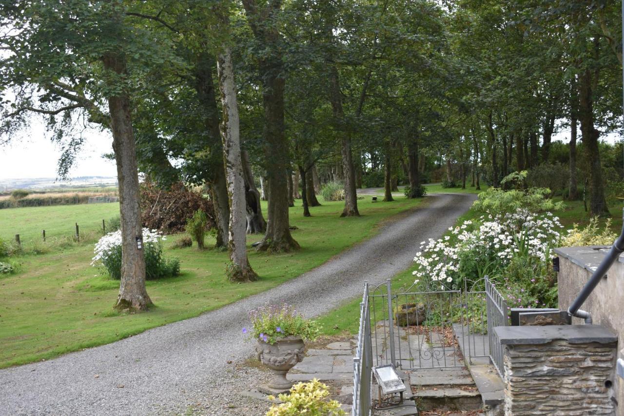 Crug Glas Country House St. Davids  Exterior foto